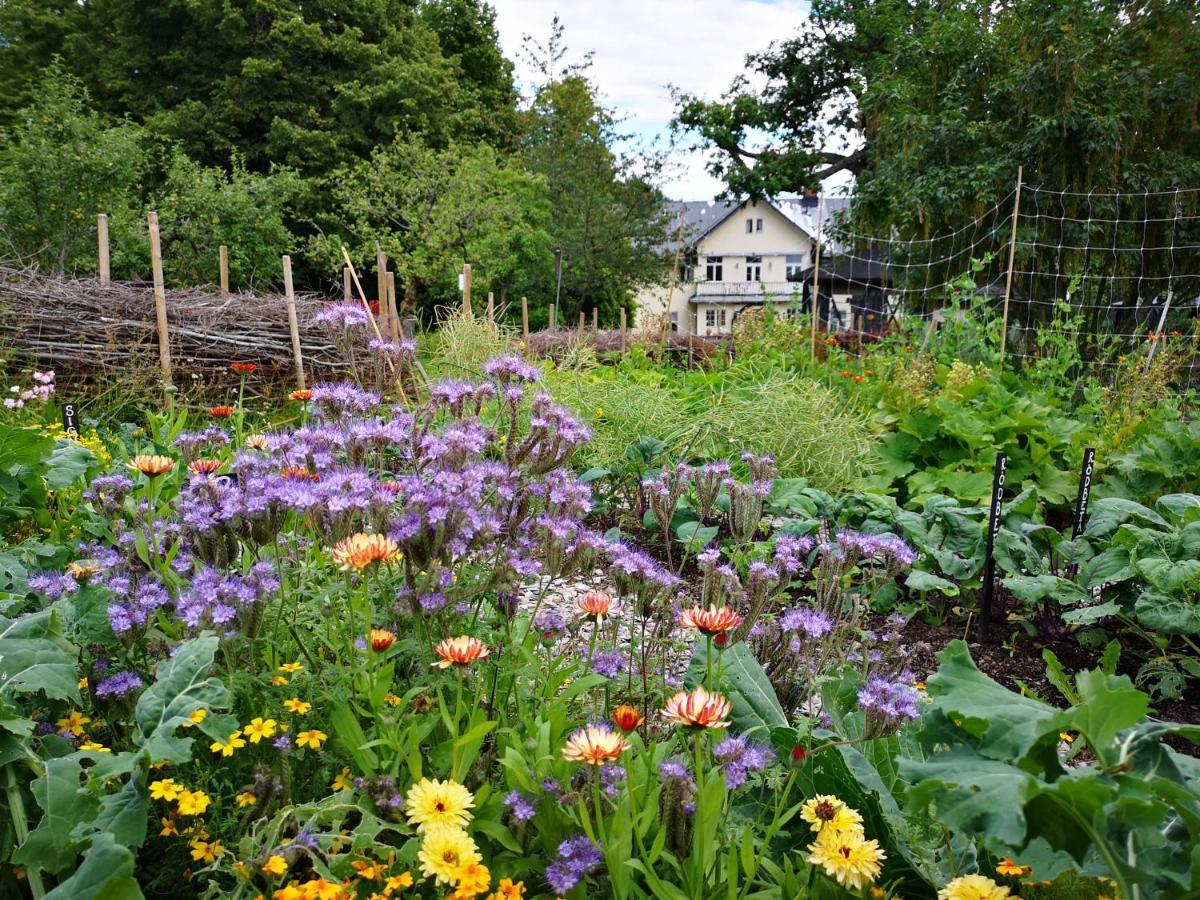 Disponentparken Cafe Och Bed & Breakfast Grangesberg Exterior photo